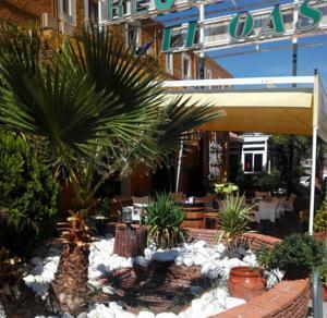 Hotel El Oasis Carchel Eksteriør billede
